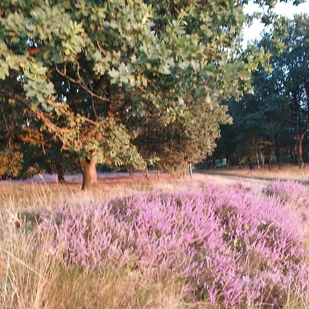 펜션 Hof Lindemann *