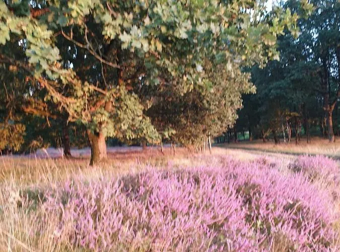 Hof Lindemann Tatil Evi Schneverdingen