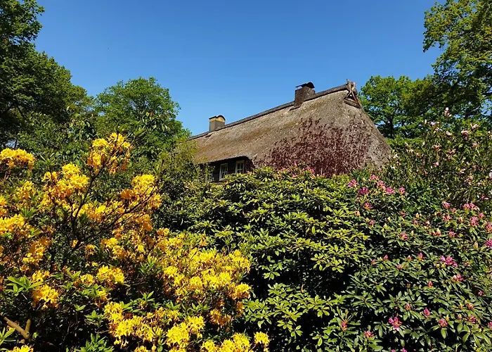 Tatil Evi Hof Lindemann Schneverdingen